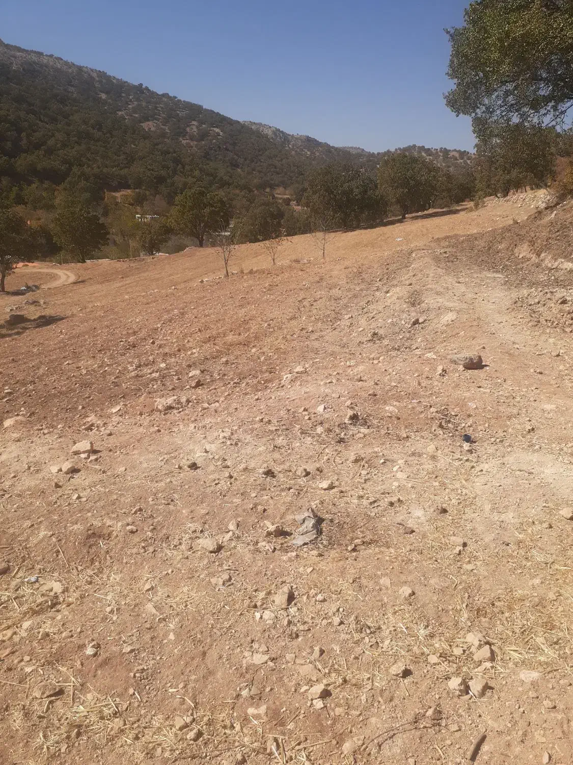 زمین کشاورزی|فروش دفتر صنعتی، کشاورزی، تجاری|یاسوج, |دیوار