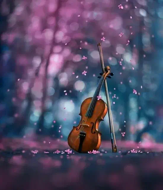 آموزش موسیقی|خدمات آموزشی|فلاورجان, |دیوار