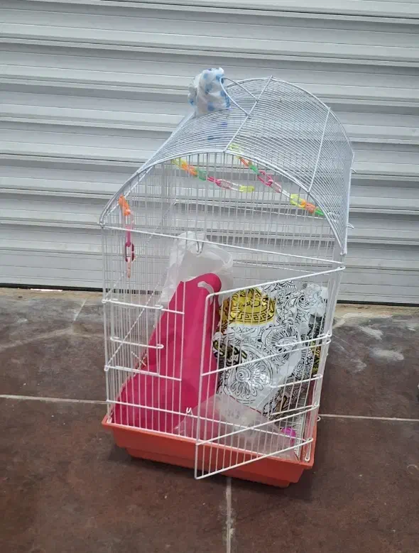 کلکسیونی معاوضه با انگشتر|جواهرات|اردبیل, |دیوار