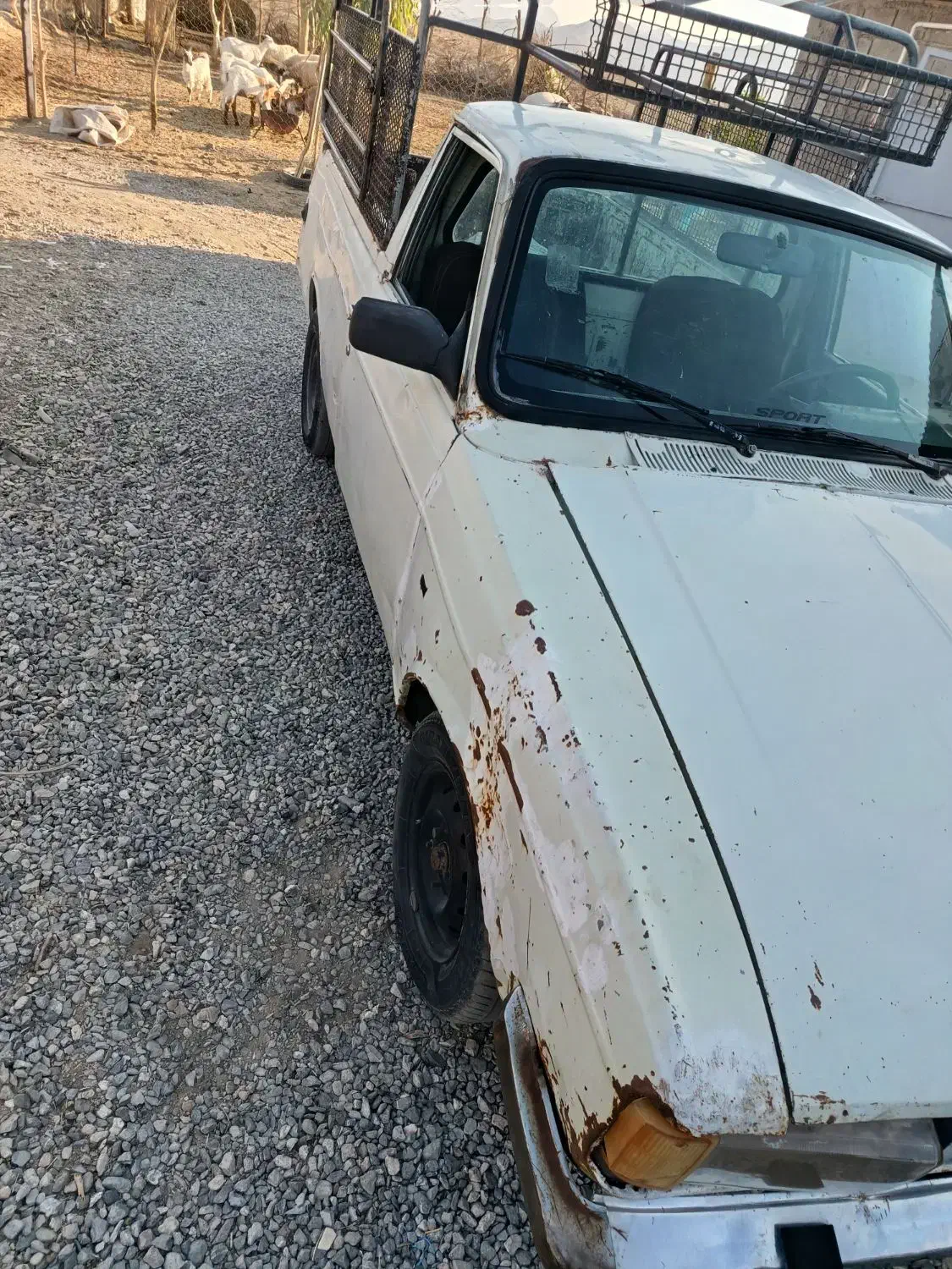 پیکان وانت 84|خودرو سواری و وانت|ارزوئیه, |دیوار