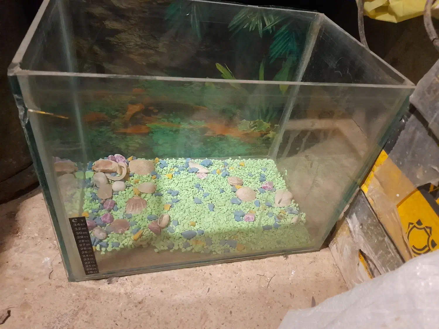 اکواریم معاوضه|لوازم جانبی حیوانات|دهگلان, |دیوار