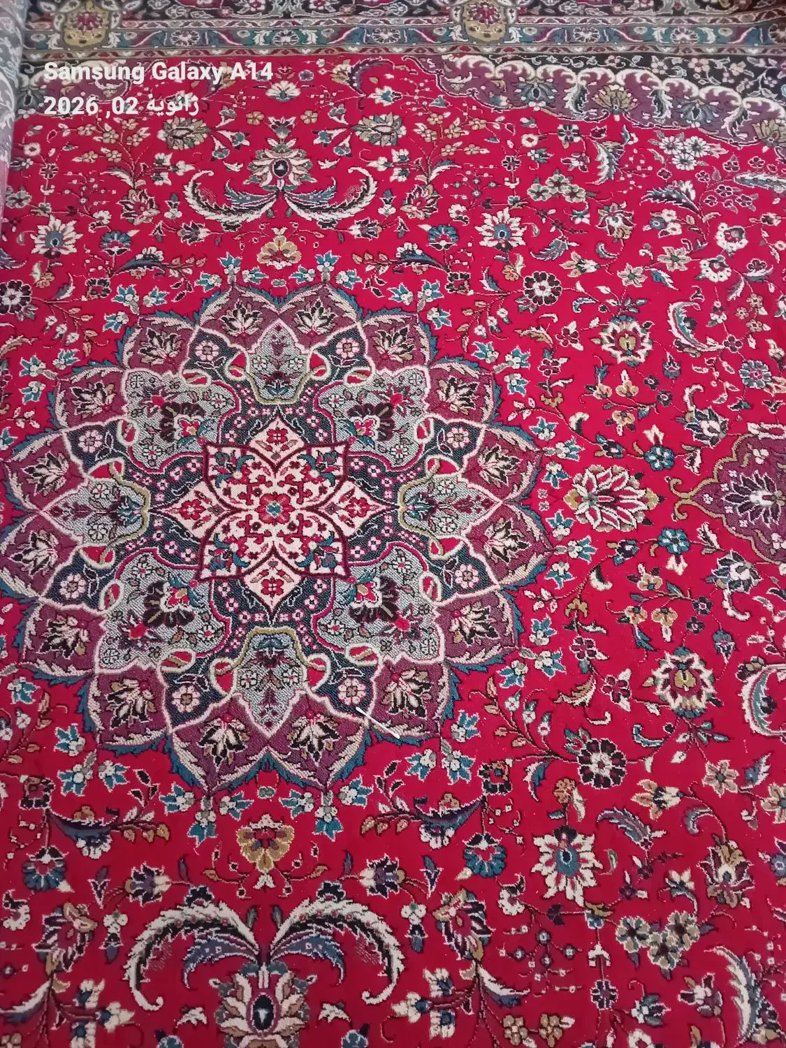 فرش|فرش|نیشابور, ریوند|دیوار