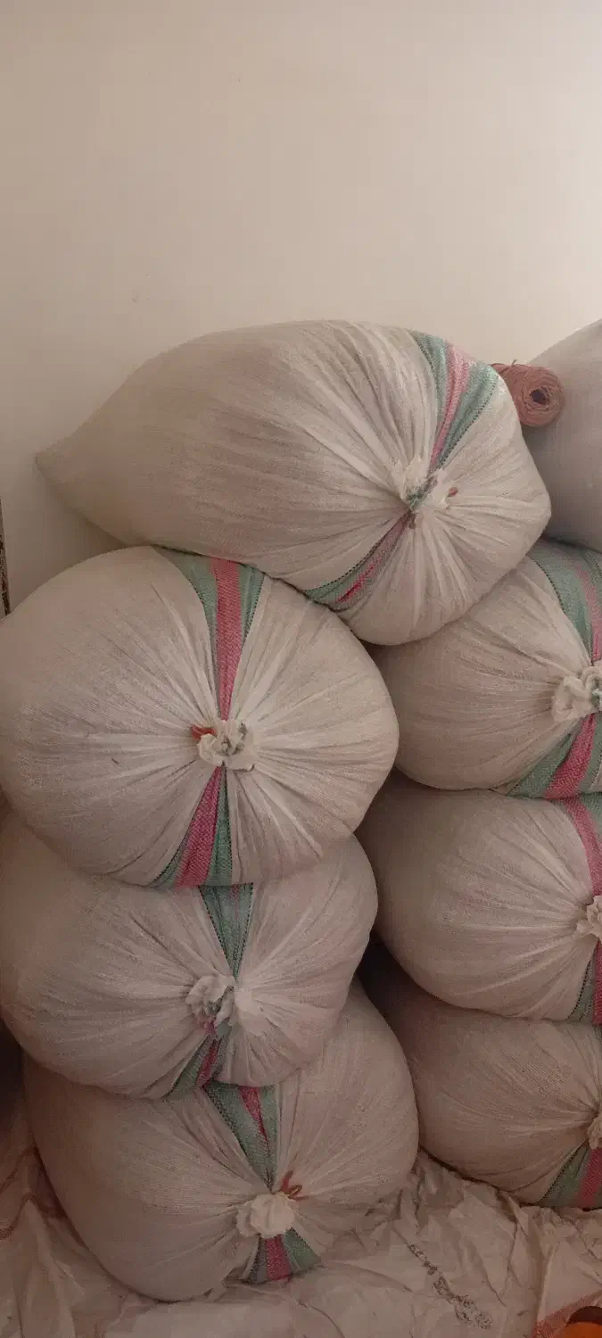 شالی|خوردنی و آشامیدنی|آق قلا, |دیوار