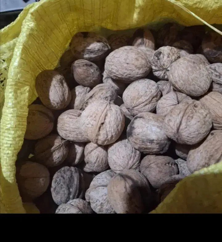 گردوی بوانات|خوردنی و آشامیدنی|شیراز, گلشن|دیوار