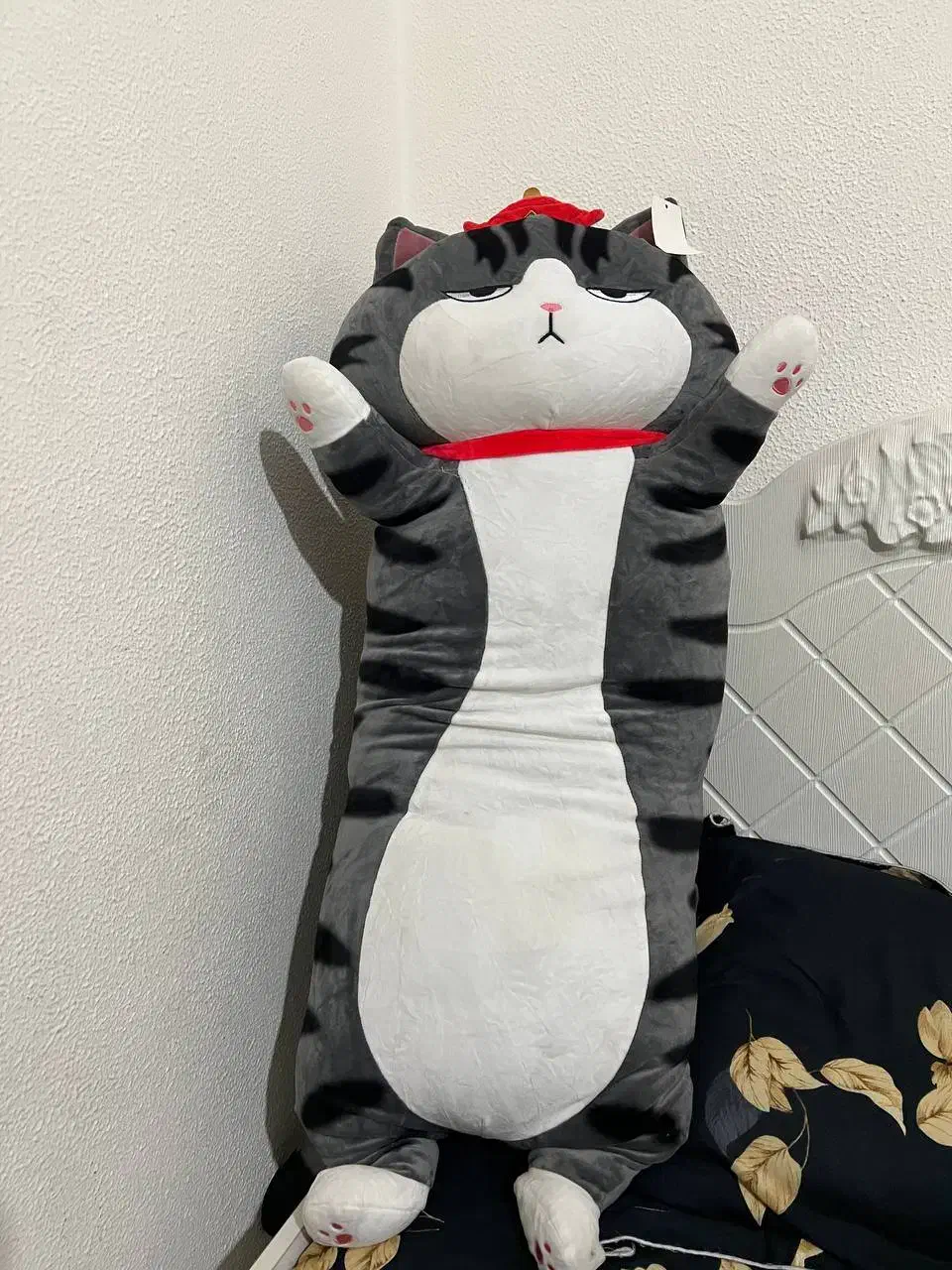 عروسک|اسباب‌‌بازی|کیش, |دیوار