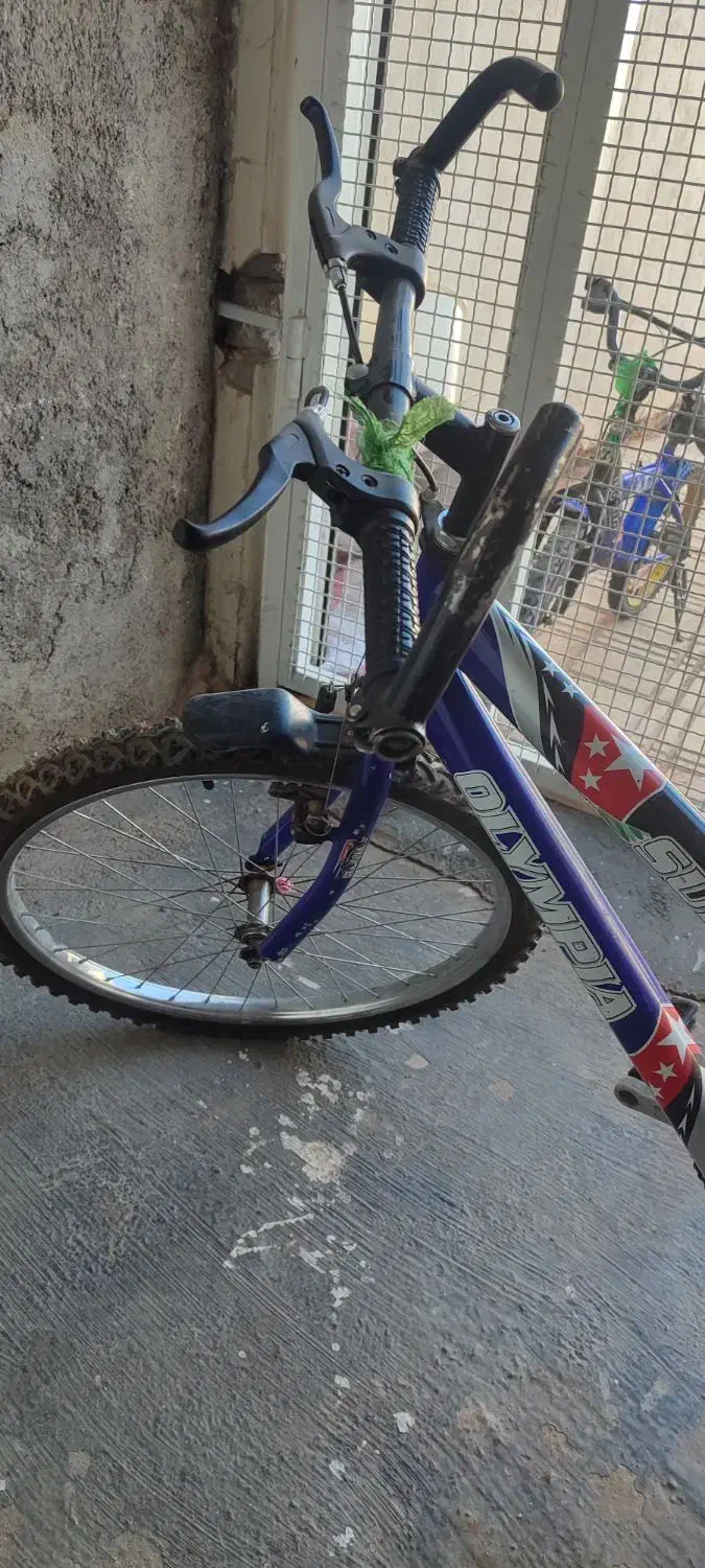 دوچرخه المپیا اصل جنس بدنه خیلی قوی سایز 24|دوچرخه، اسکیت، اسکوتر|کوهدشت, |دیوار
