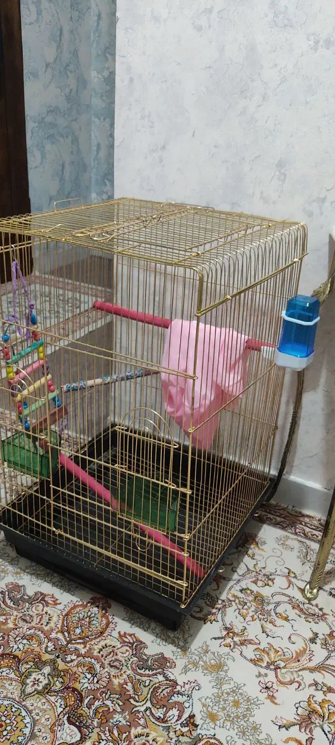 قفس بلند طلائی|لوازم جانبی حیوانات|سهند, |دیوار
