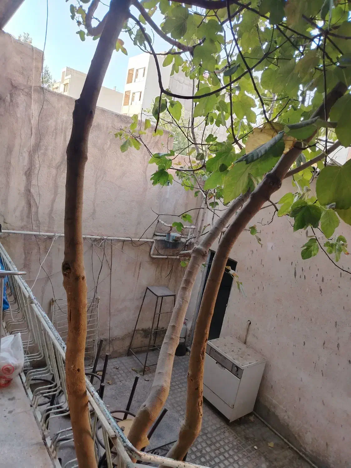 خانه ویلایی اجاره ای 85متر|اجارهٔ خانه و ویلا|تهران, جوادیه تهرانپارس|دیوار