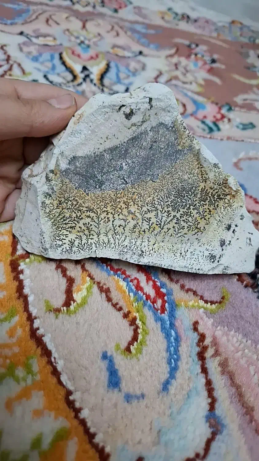 سنگ شجر|جواهرات|اردبیل, |دیوار