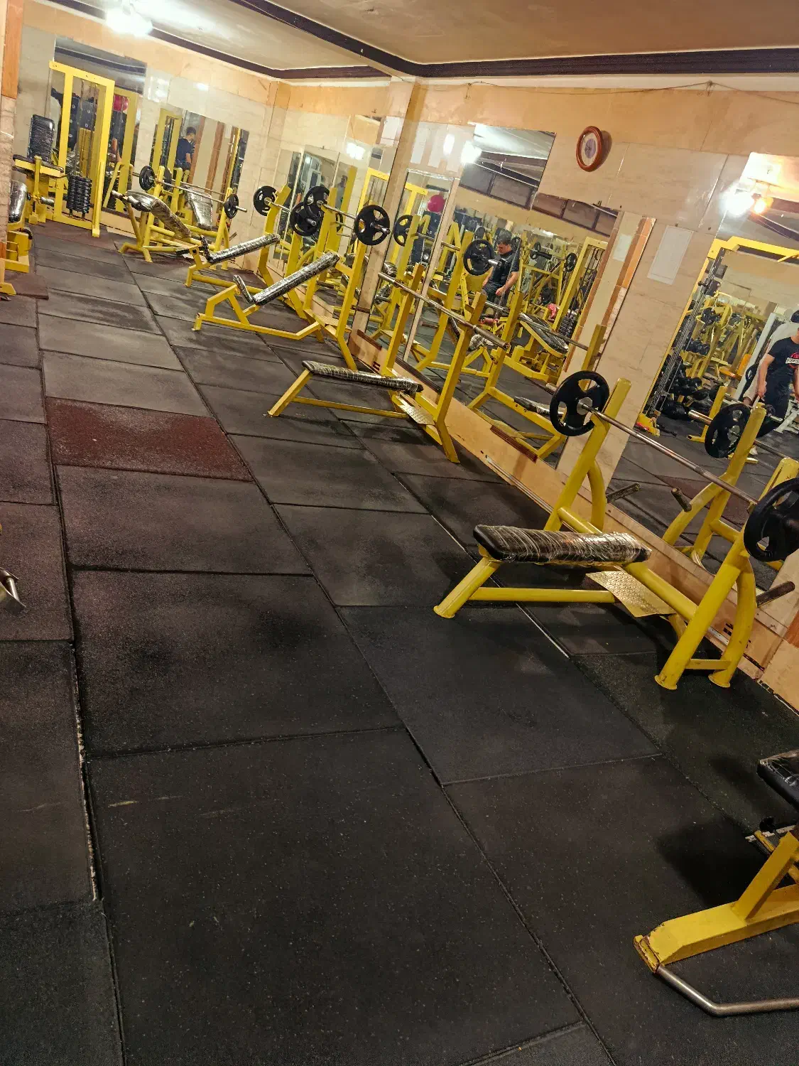 آکادمی ویوا|خدمات آموزشی|ماکو, |دیوار