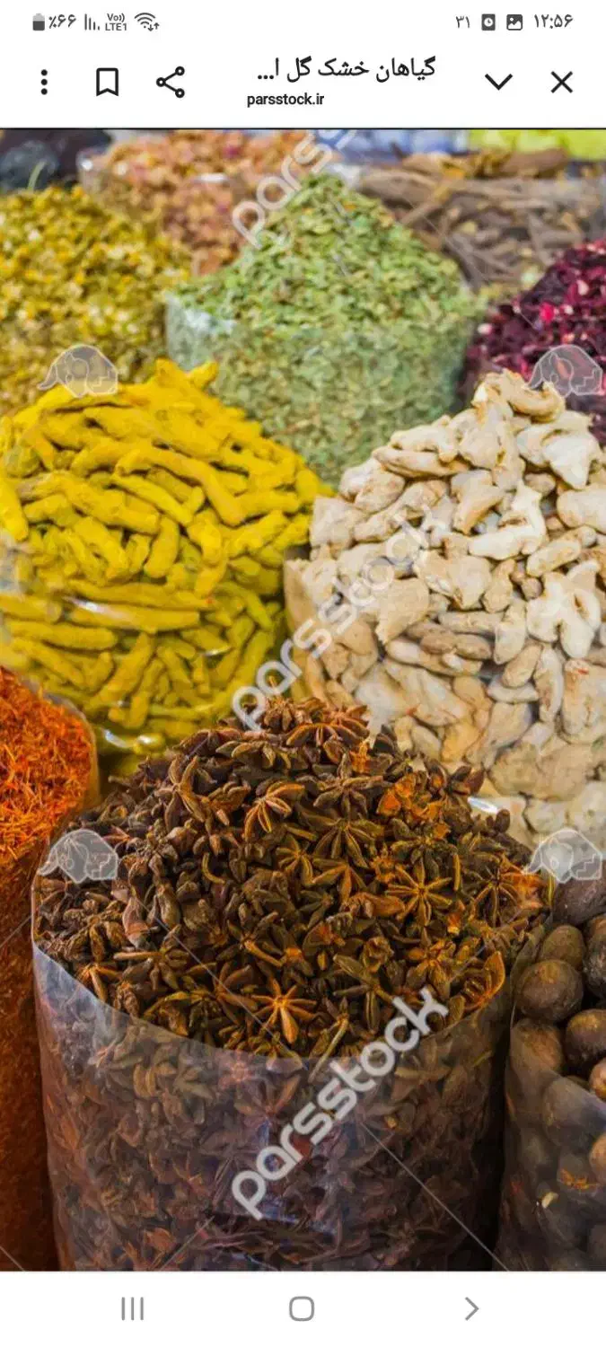 ادویه طبق فاکتور|عمدهفروشی|ایوان, |دیوار