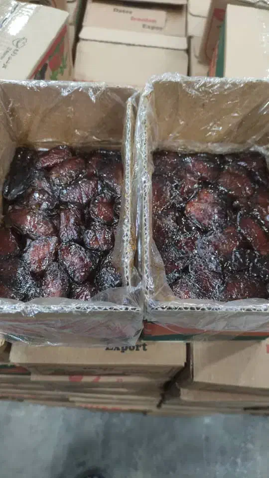 خرمای کبکاب|خوردنی و آشامیدنی|شیراز, گلشن|دیوار