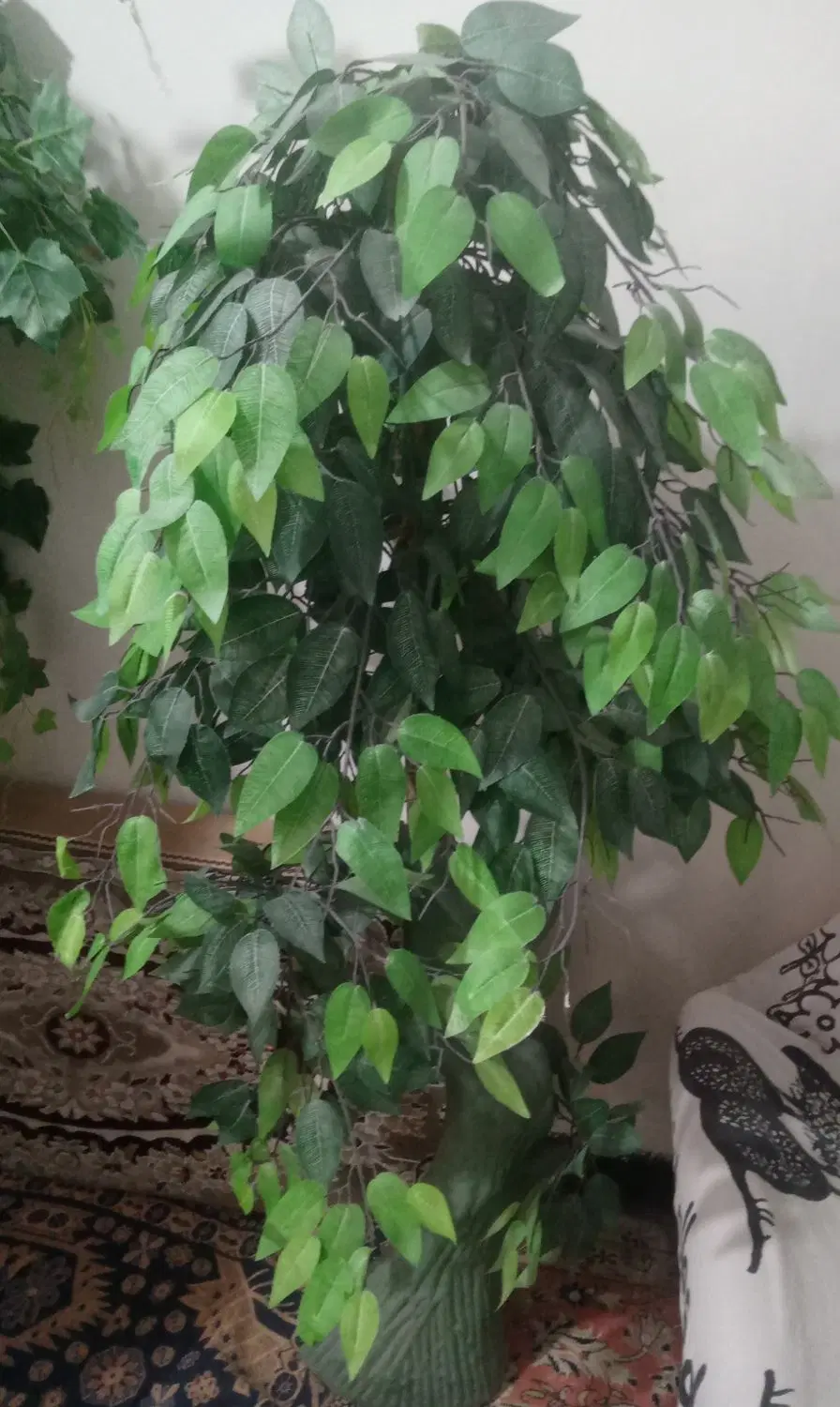 درختچه|گل مصنوعی|زاهدان, |دیوار