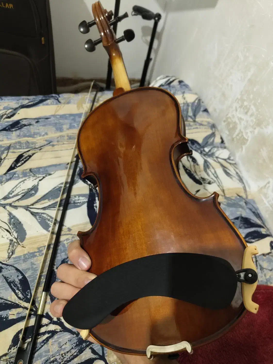 ویولن رناتو ۴۴۰ ۴/۴|ویولن|کرمان, |دیوار