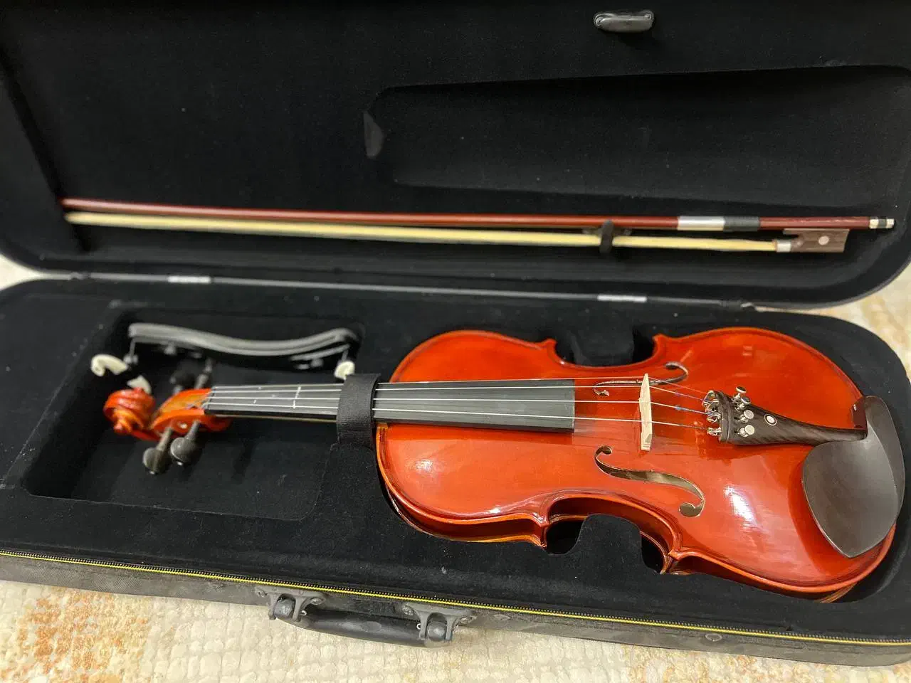 ویولن|ویولن|مهاجران, |دیوار