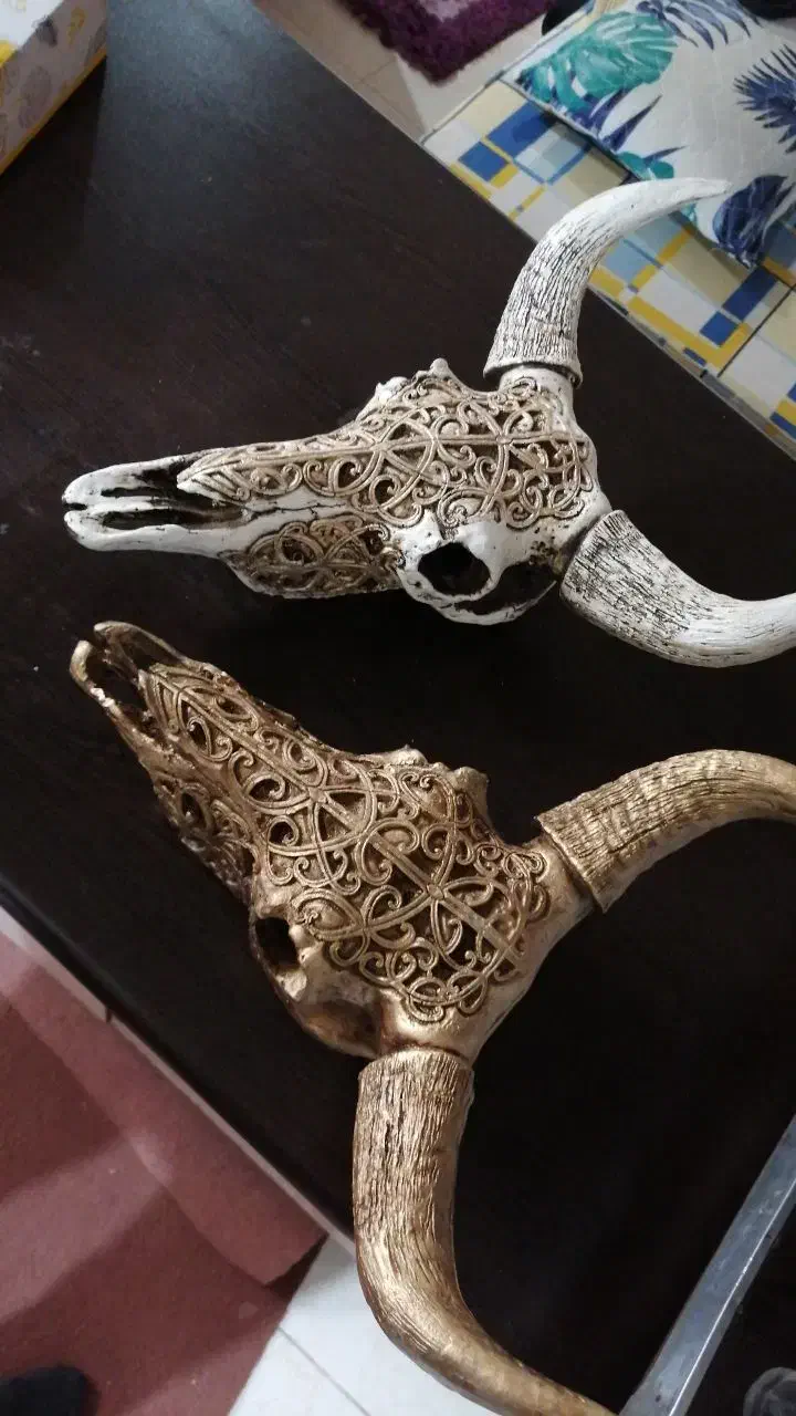 مجسمه بوفالو|مجسمه، تندیس، ماکت|مشهد, امام رضا (ع)|دیوار