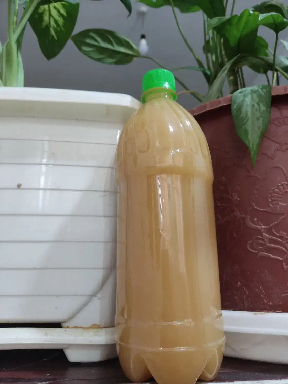 سرکه|حراج|شهرکرد, |دیوار