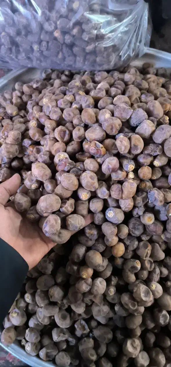 خرمای برحی جنوب|خوردنی و آشامیدنی|قم, شهدا|دیوار