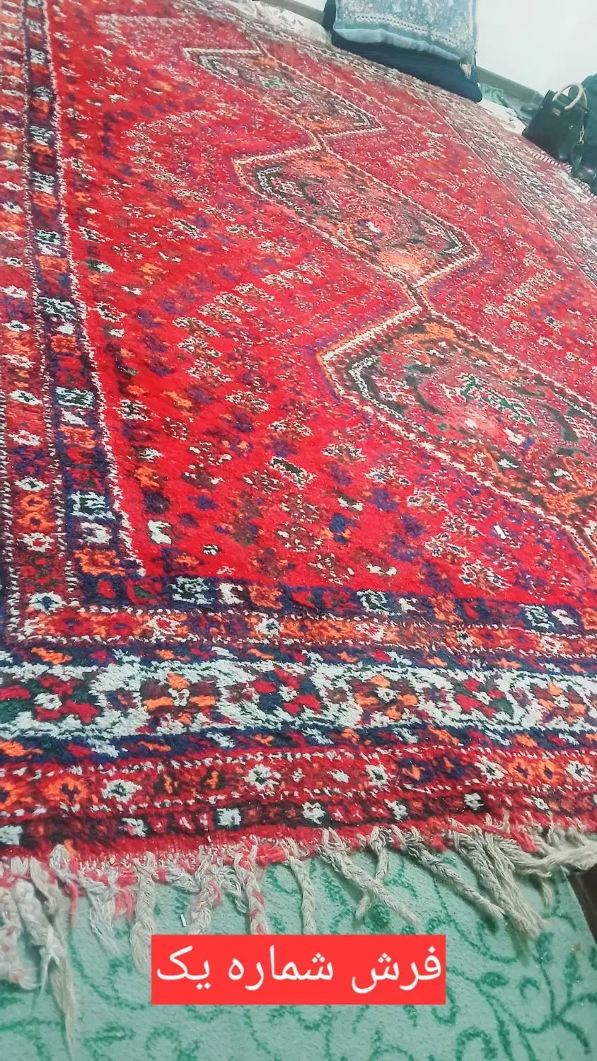 دو عدد فرش دستباف ۶ متری|فرش|شیراز, دانشگاه شیراز|دیوار