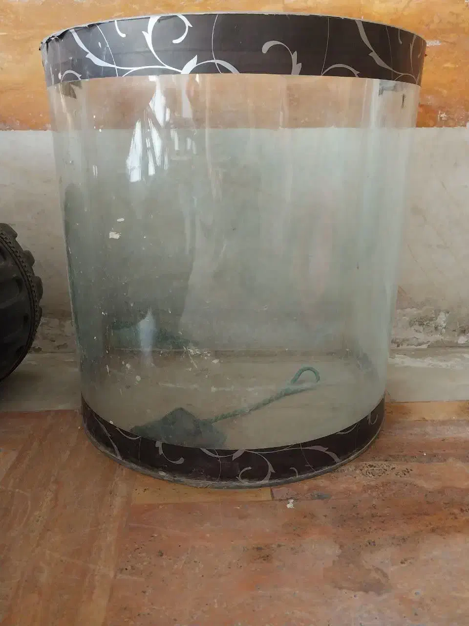 آکواریوم/ آکواریوم شیشه خم|ماهی|قم, بنیاد|دیوار