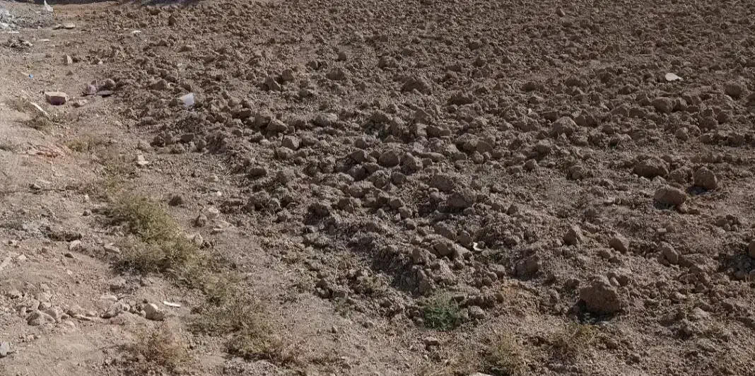 فروش 2 باغ در شهر علویجه|فروش دفتر صنعتی، کشاورزی، تجاری|دهق, |دیوار