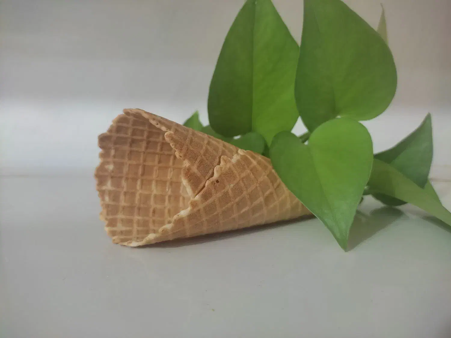 واگذاری کارگاه تولیدی با تمام لوازم (درامد تضمینی)|ماشین‌آلات صنعتی|شیراز, عادل آباد|دیوار