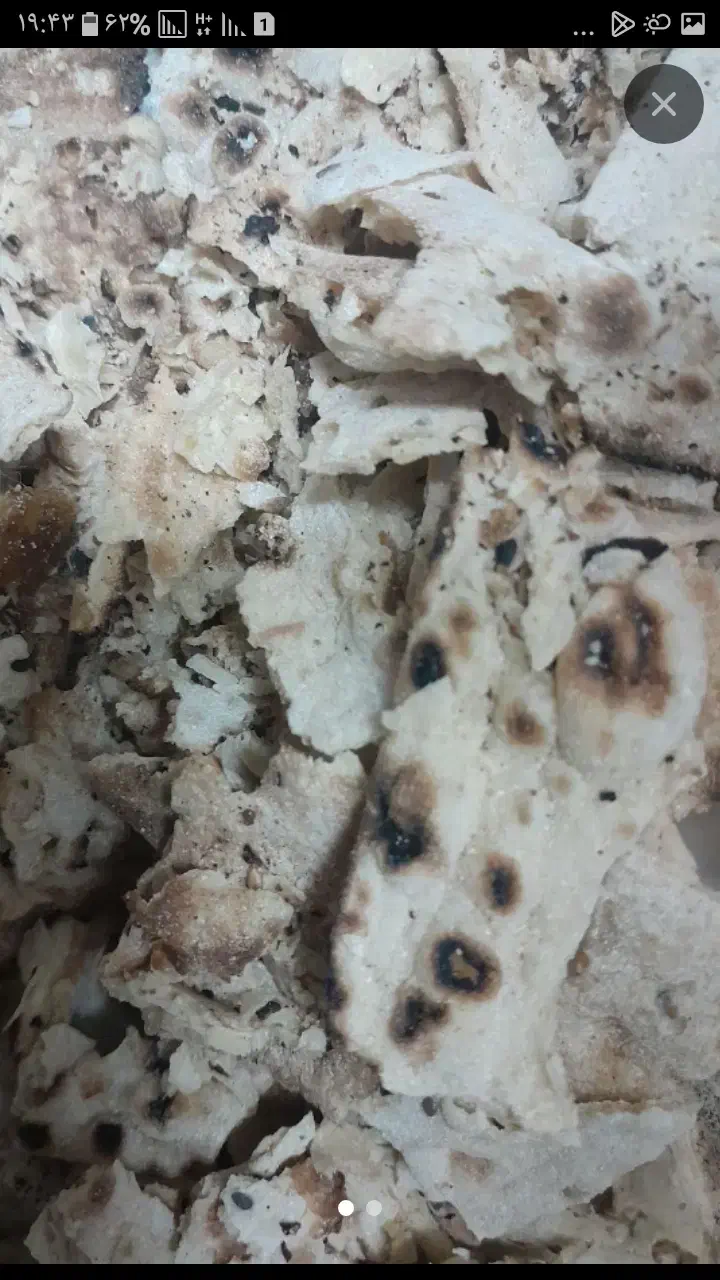 نان خشک دامی|لوازم جانبی حیوانات|فولادشهر, A4|دیوار