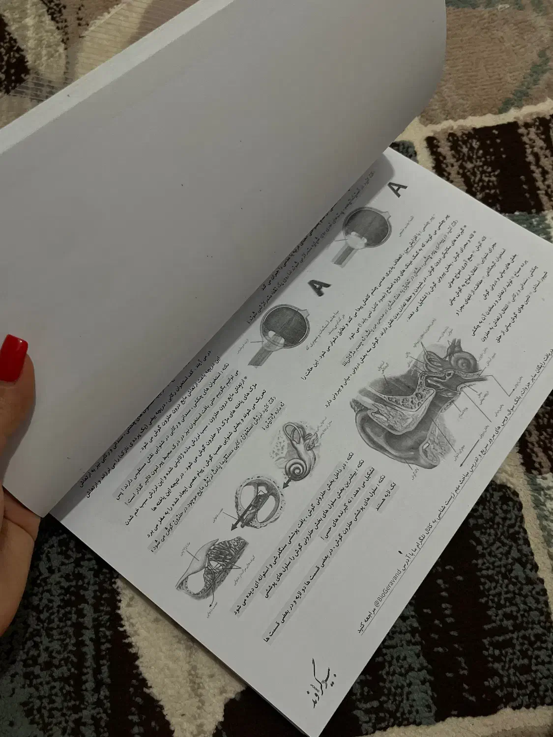 جمع بندی زیست|کتاب و مجله آموزشی|قم, شهر قائم|دیوار