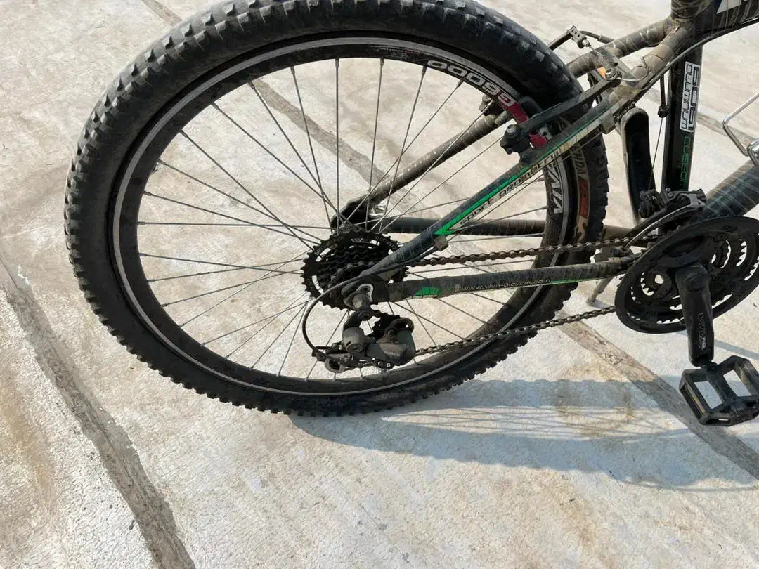 دوچرخه ویوا|دوچرخه، اسکیت، اسکوتر|وحیدیه, |دیوار