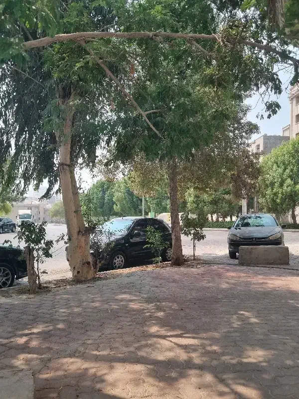 فروش مغازه ۹۵متری بر اصلی چهارراه گفتگوی تمدن ها|فروش مغازه و غرفه|بندرعباس, |دیوار