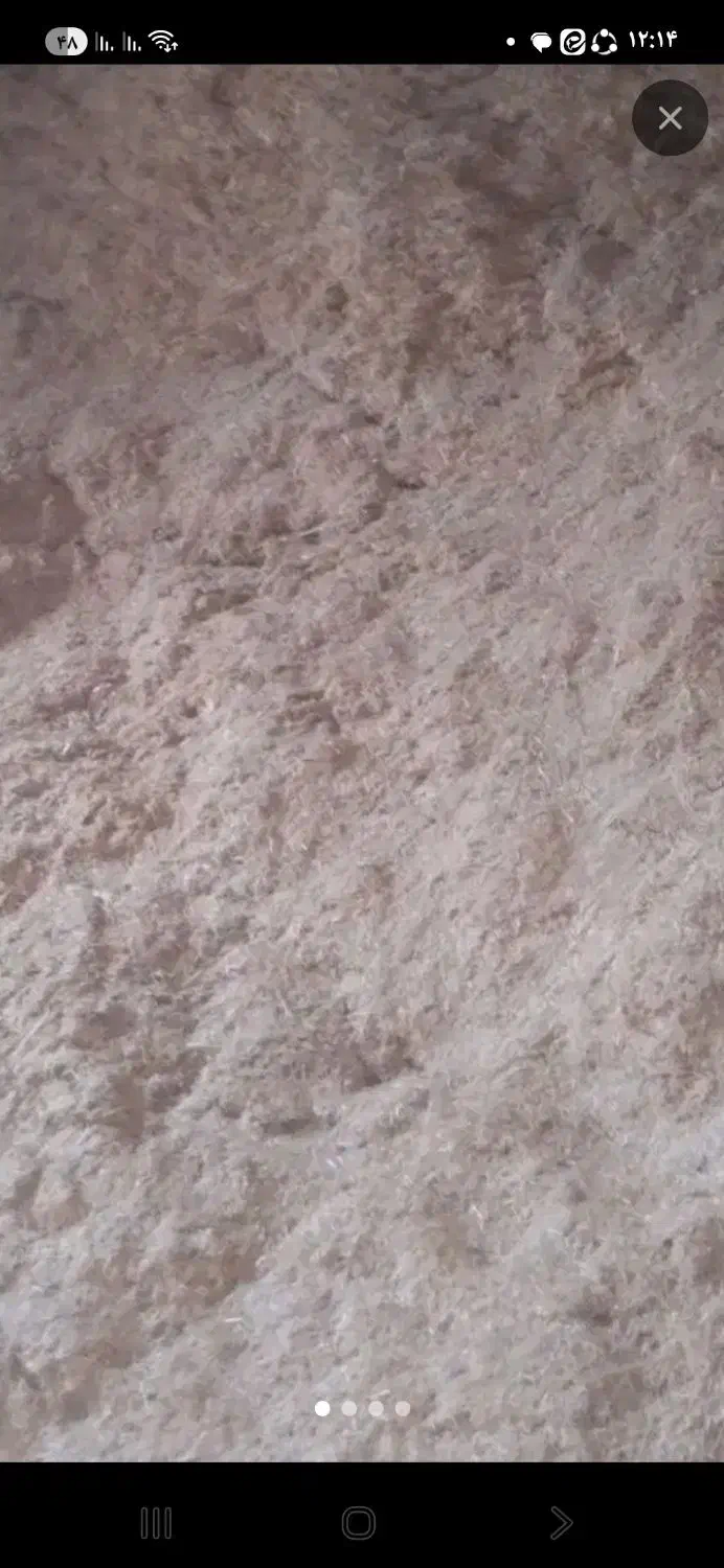 کاه درجه یک|حیوانات مزرعه|فاروج, |دیوار