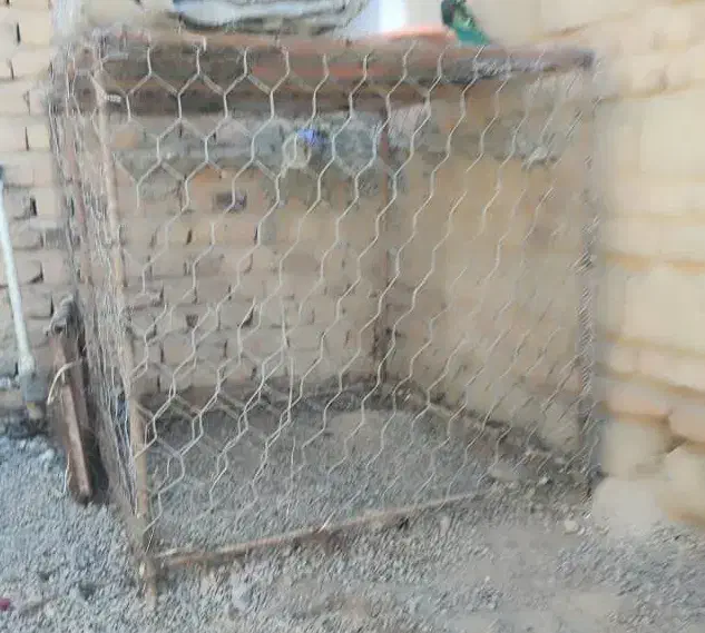 قفس مرغ و پرنده|لوازم جانبی حیوانات|خاش, |دیوار