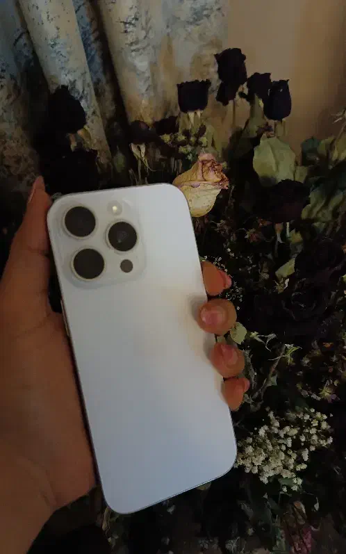 ایفون ۱۶ پرو|موبایل|مشهد, حسین‌آباد|دیوار