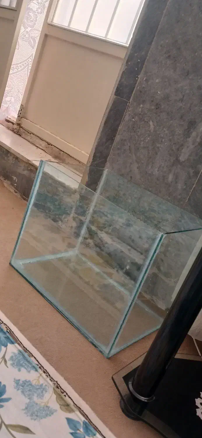 آکواریوم نو نو۶میل|ماهی|قم, سراجه (۱۵ خرداد)|دیوار