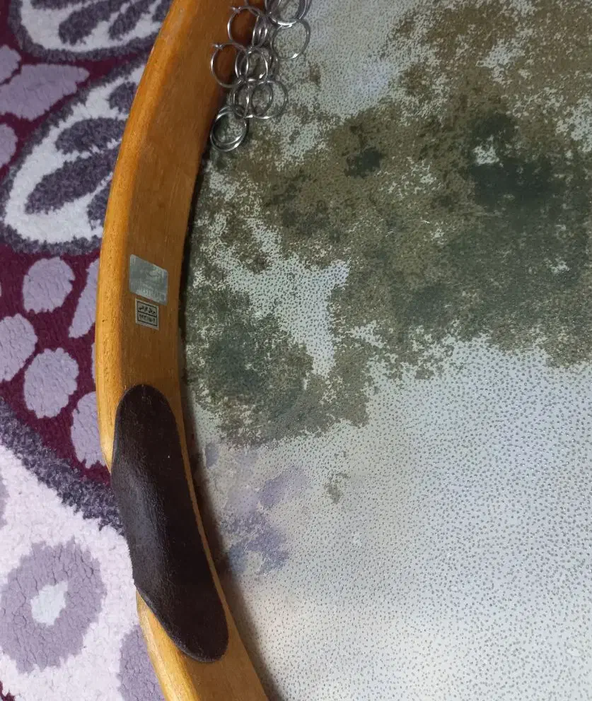 دف حبیبی مدل رکوردینگ|سازهای سنتی|قزوین, |دیوار