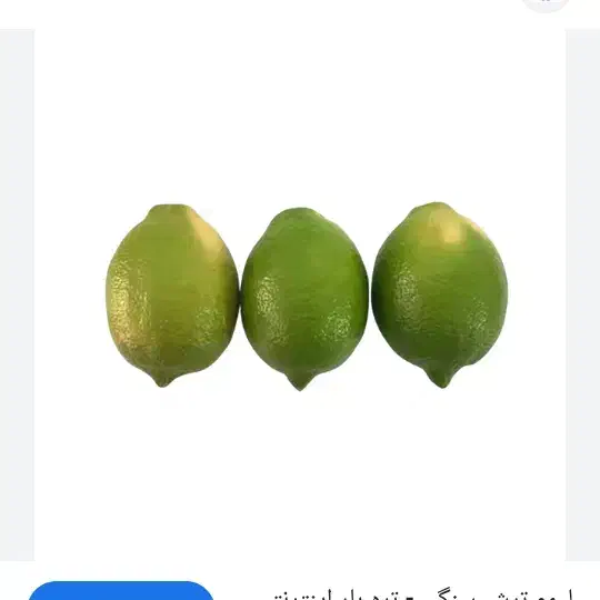 لیمو سنگی|خوردنی و آشامیدنی|باغ ملک, |دیوار