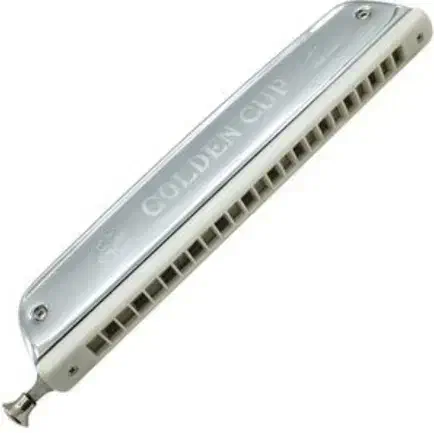 ساز دهنی گلدن کاپ|سازهای بادی|گرگان, |دیوار