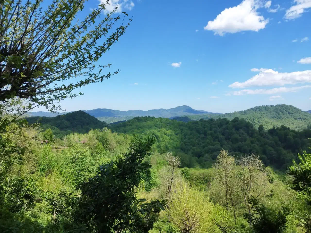 زمین بزرگ لاهیجان با خانه و باغ ویو ابدی|فروش زمین و ملک کلنگی|لاهیجان, کوه بیجار|دیوار