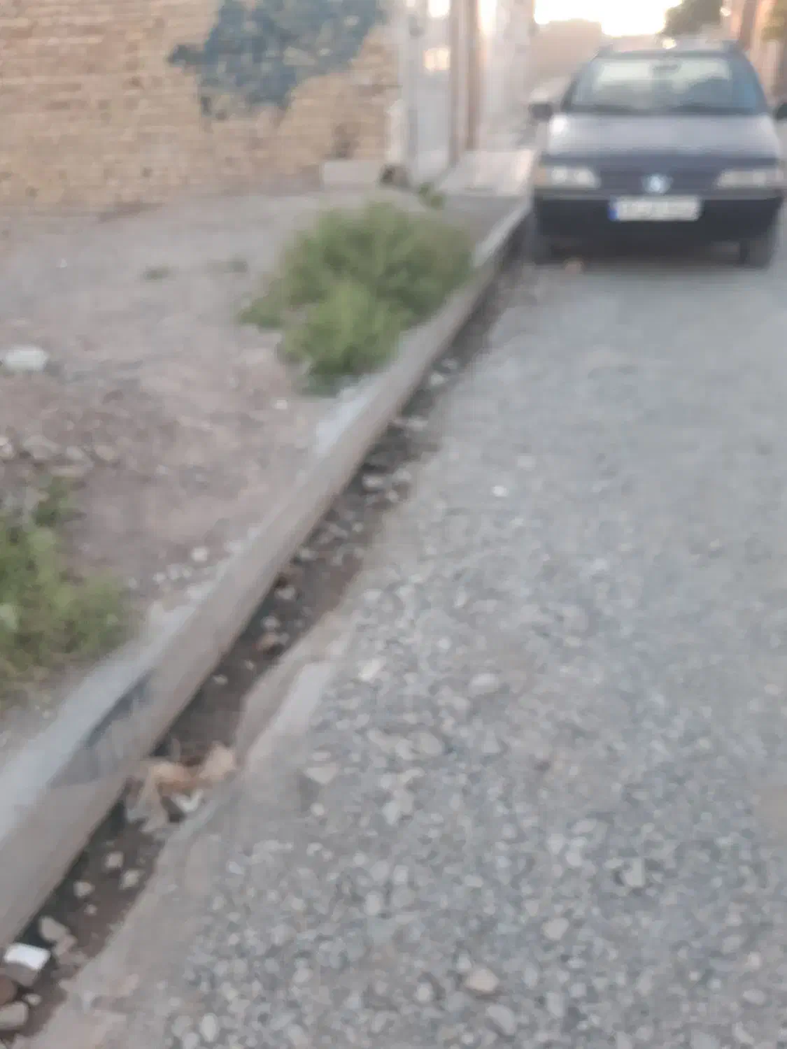 زمین مسکونی نزدیک درمانگاه محقق نبش خیابان اصلی|فروش زمین و ملک کلنگی|تربت‌حیدریه, رضاشهر|دیوار