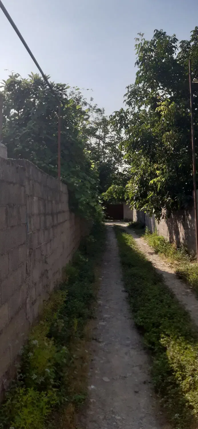 208 متر کاملا مسکونی با نامه بنیاد شفت نصیرمحله|فروش زمین و ملک کلنگی|شفت, |دیوار