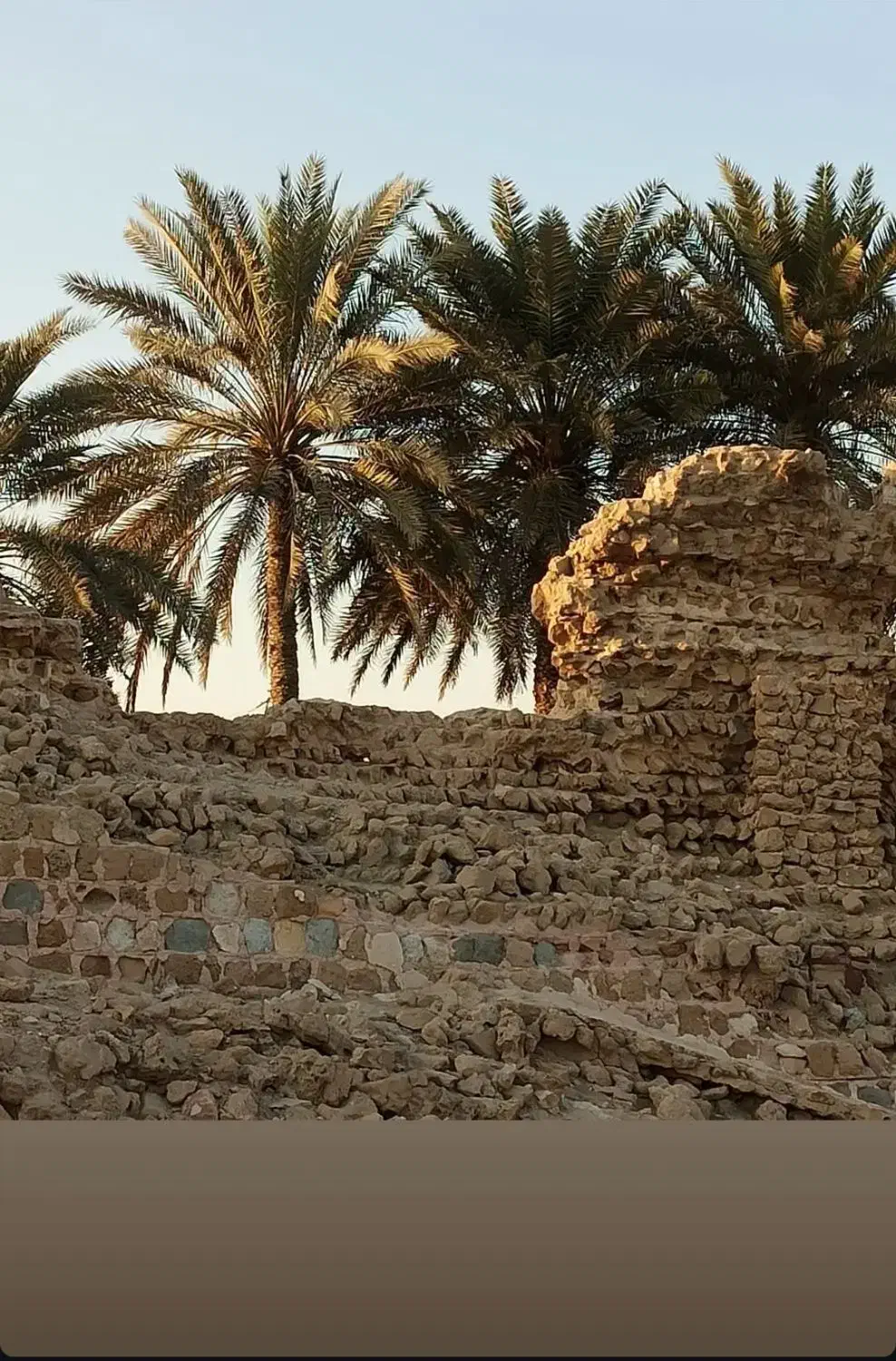 زمین روستای دهخدا|فروش زمین و ملک کلنگی|قشم, |دیوار