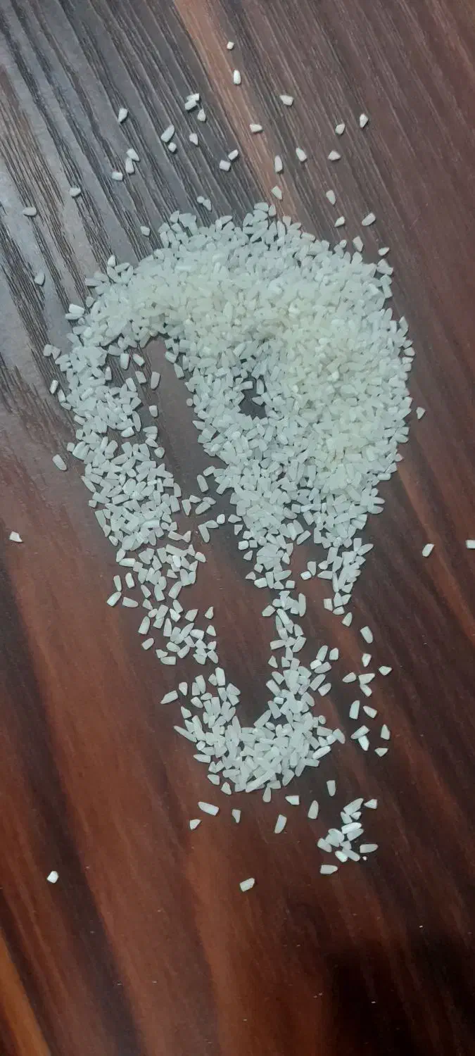 برنج نیم دانه هاشمی|خوردنی و آشامیدنی|خشکبیجار, |دیوار