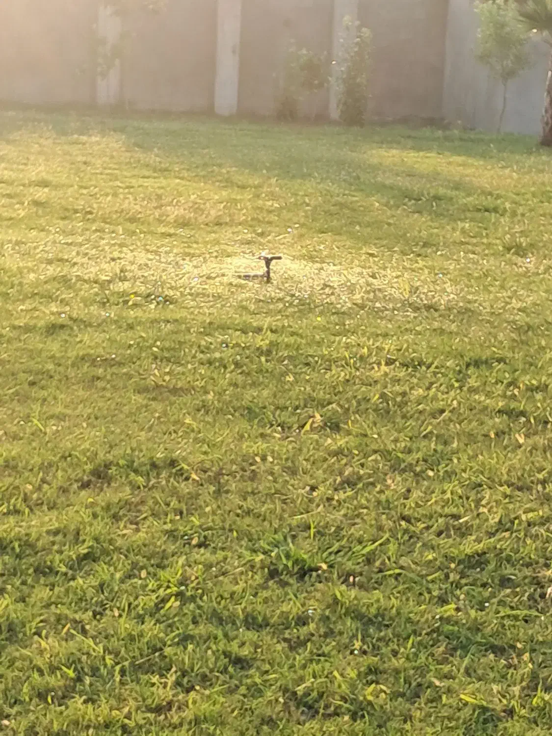 ۵۰۰۰ متر ویلای استثنایی مبله با سند مازندران|فروش خانه و ویلا|شیرگاه, |دیوار