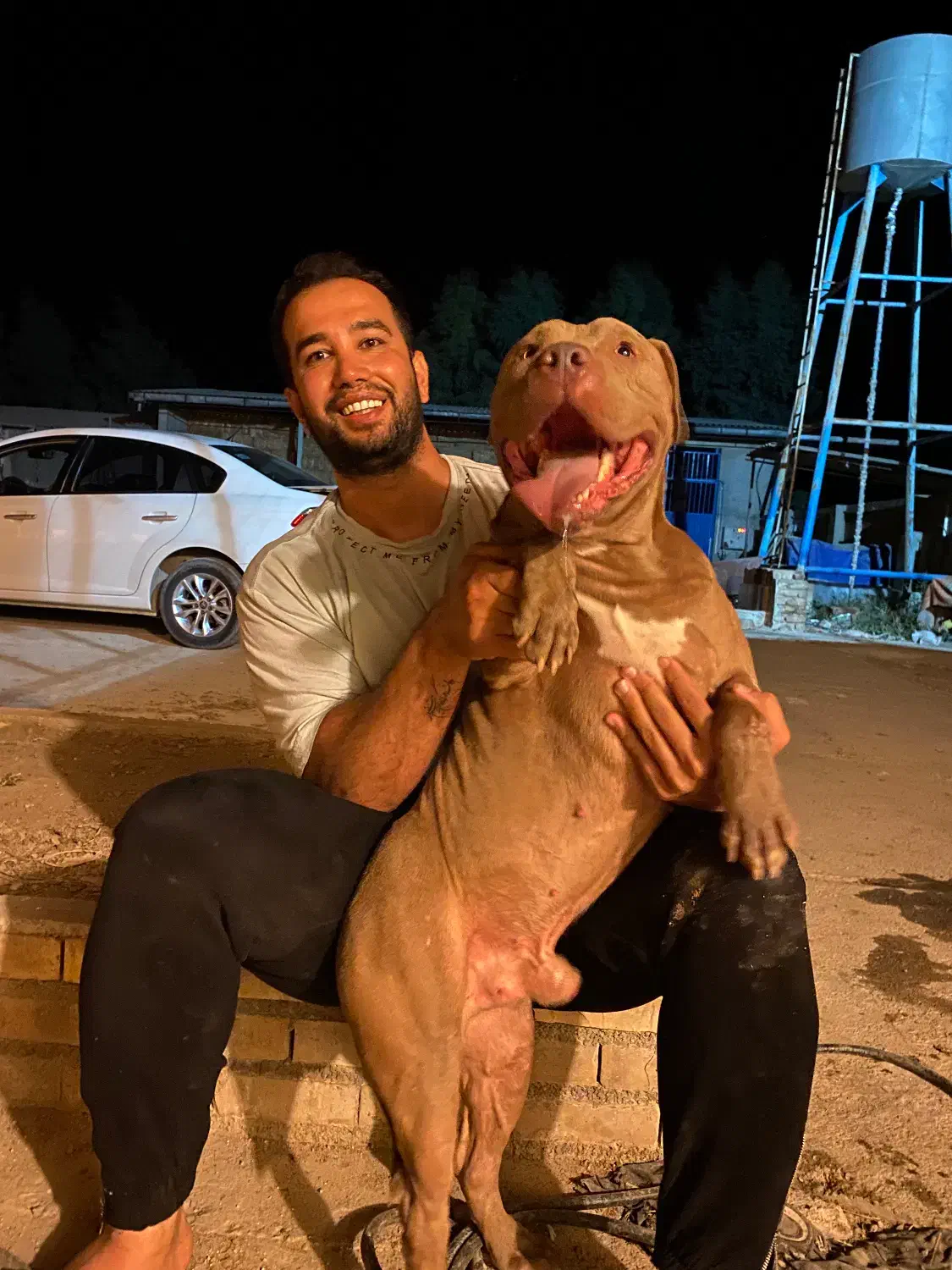 پیتبول سگ نگهبان|سگ|گنبد کاووس, |دیوار