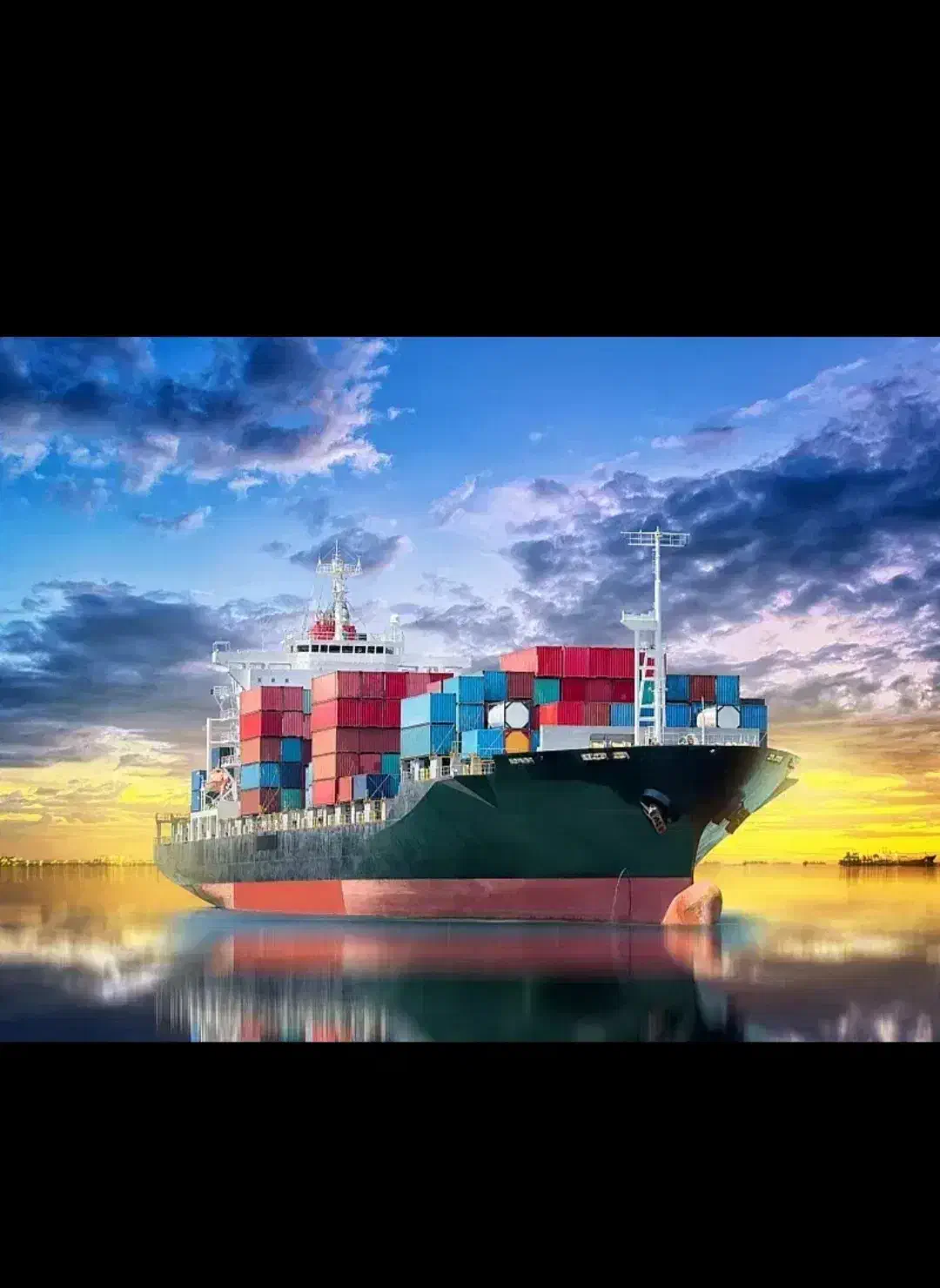 واردات و صادرات ترخیص کالا ملوانی|خدمات حمل و نقل|تهران, فاطمی|دیوار