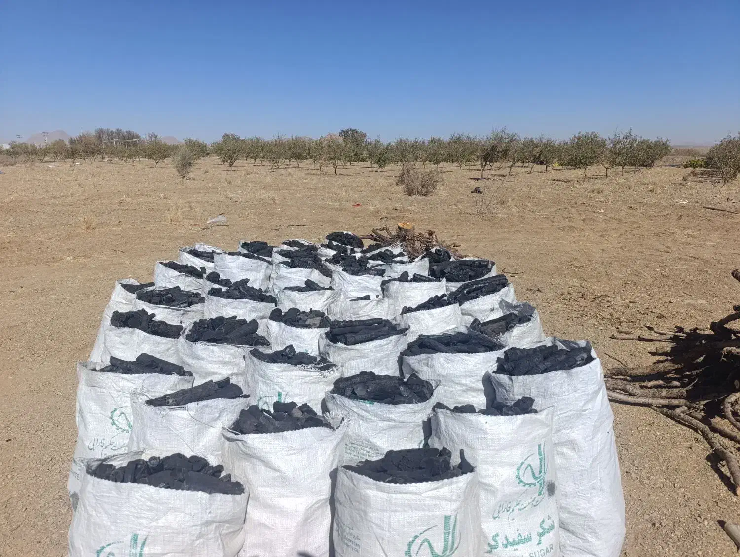 فروش زغال کبابی ارسال به سراسر کشور|عمدهفروشی|تیران, |دیوار