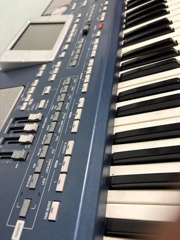 pa 800|پیانو، کیبورد، آکاردئون|باغ بهادران, |دیوار