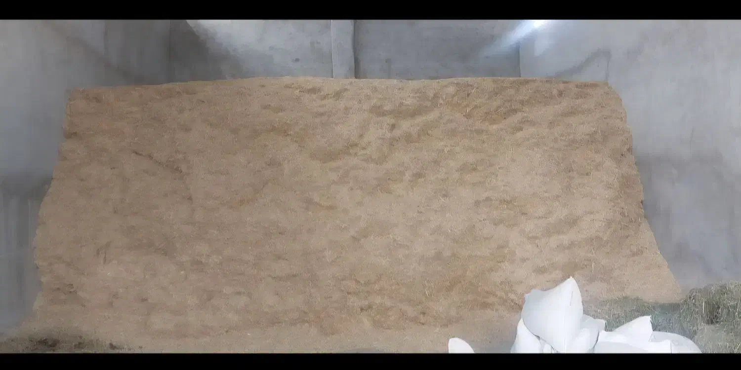 کاه خرمن کوب سفید|حیوانات مزرعه|دهدشت, |دیوار