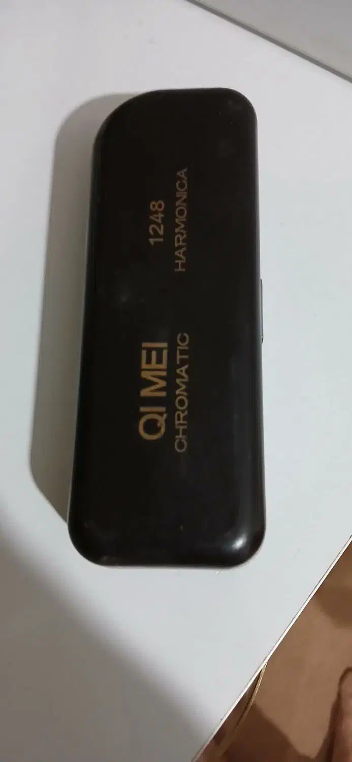 ساز دهنی حرفه‌ای|سازهای بادی|چناران, |دیوار