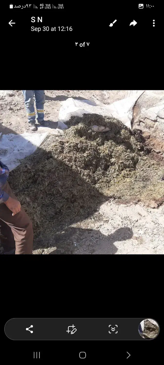 سیلو ذرت تناژ بالا|عمده‌فروشی|طرقبه, |دیوار